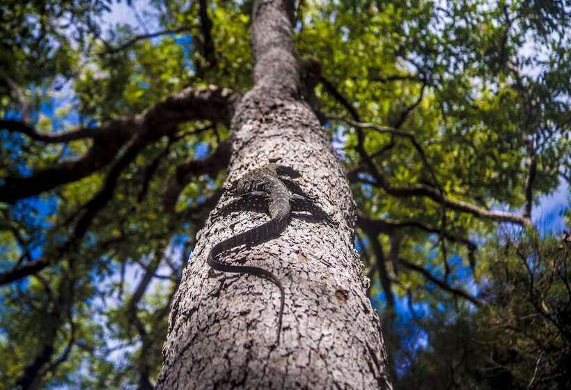 Отель The Eco Beachcamp Retreat