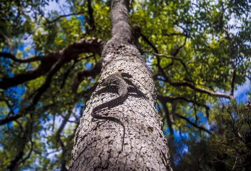 Hotelli The Eco Beachcamp Retreat