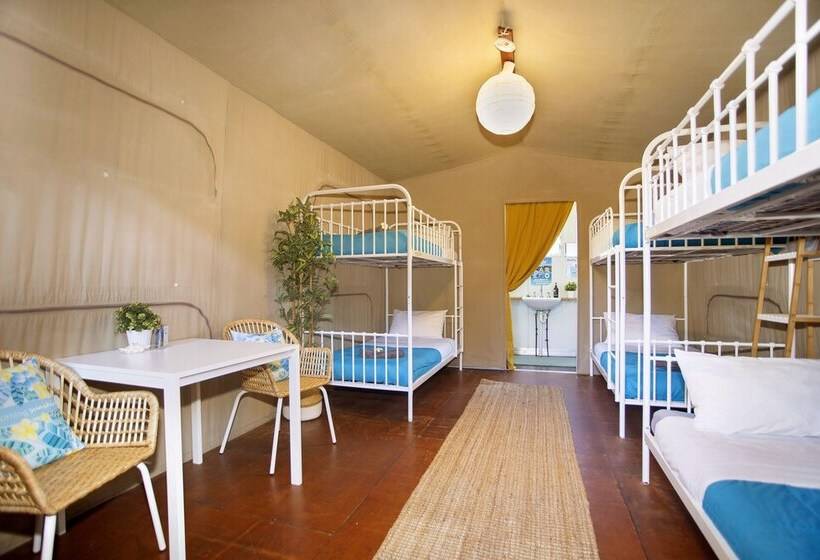 Отель The Eco Beachcamp Retreat