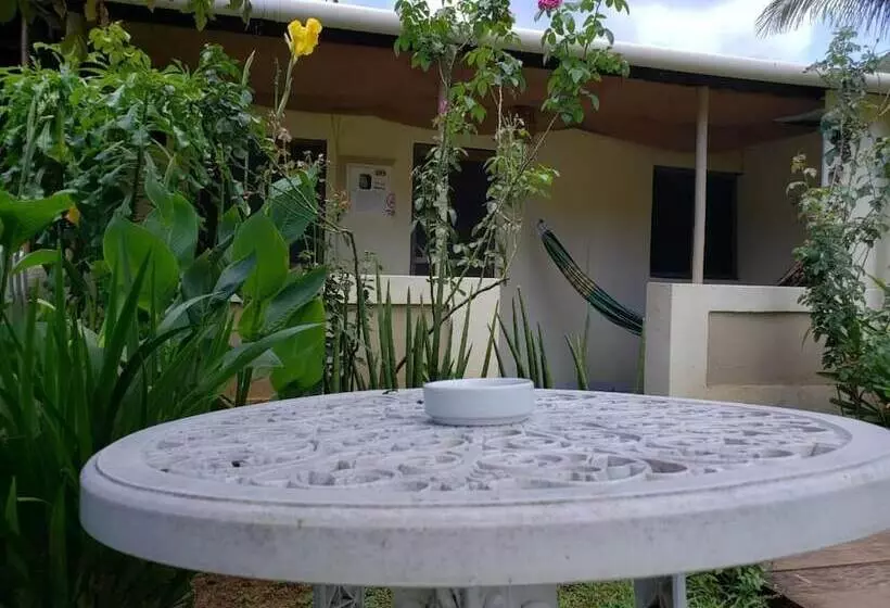 ペンション Casa Da Albertina