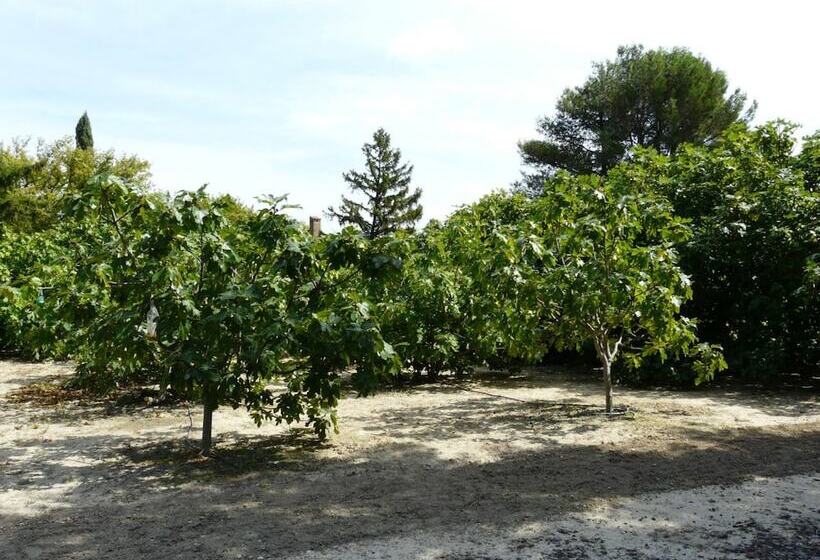 مبيت وإفطار Lou Mas Du Figuier