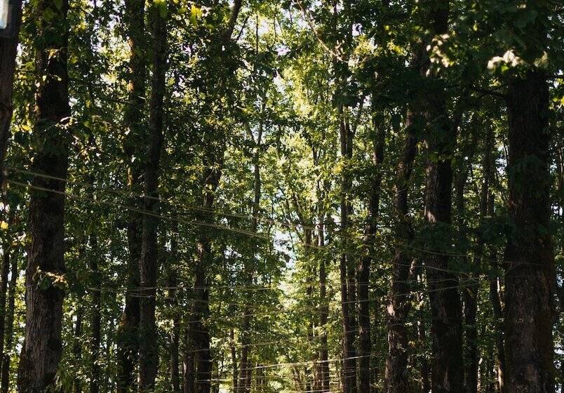 Khazar Palace Hotel & Restaurant