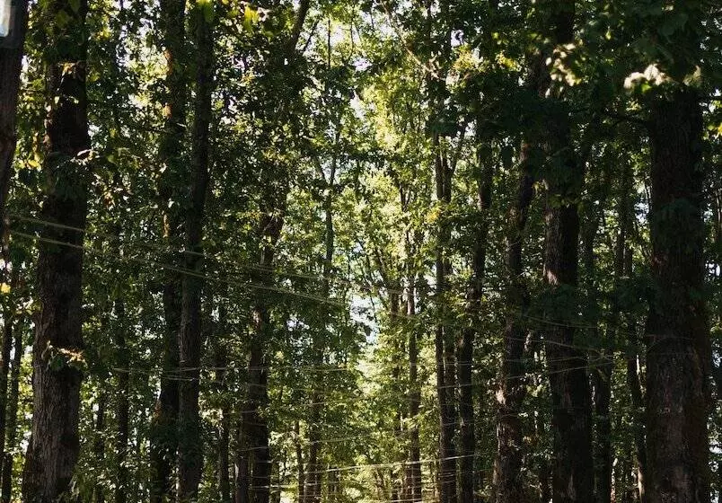 Khazar Palace Hotel & Restaurant