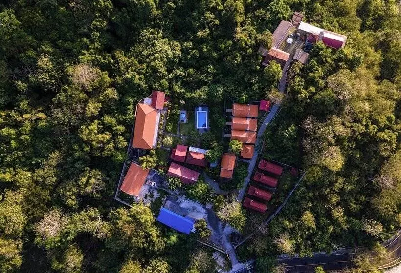 ベッドアンドブレックファースト The Pande Hill Homestay