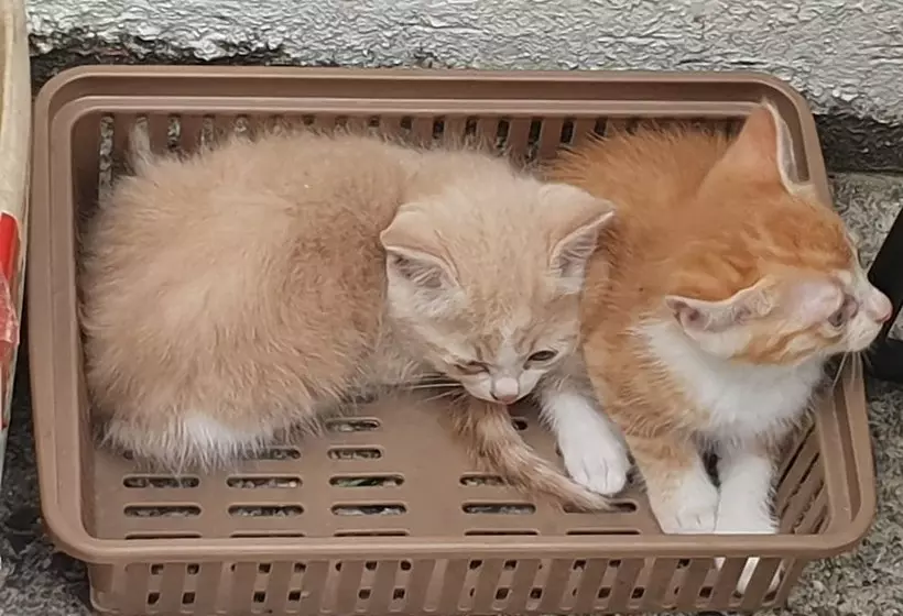 Haedoji Hotel Yangyang