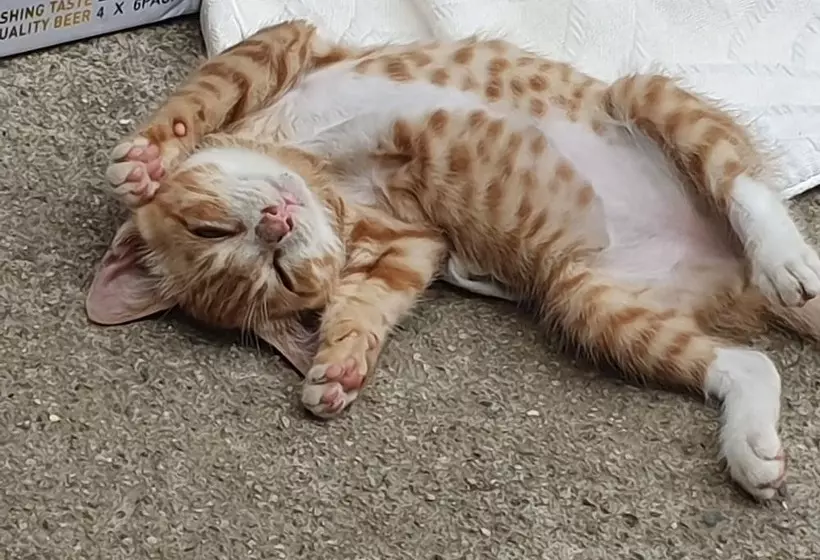 Haedoji Hotel Yangyang