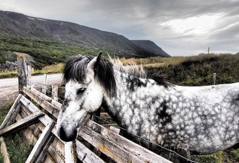 پانسیون Granastaðir Guesthouse