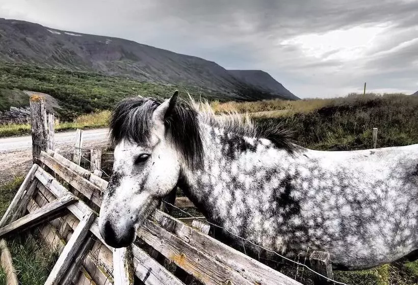 پانسیون Granastaðir Guesthouse