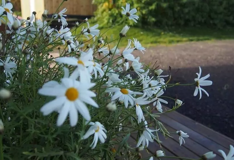 پانسیون Granastaðir Guesthouse