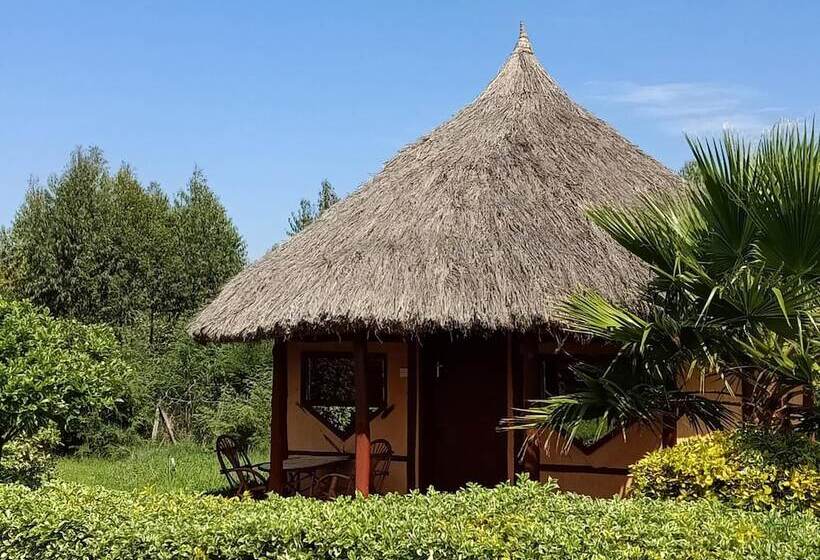 هاستل The Great Circle Lodge