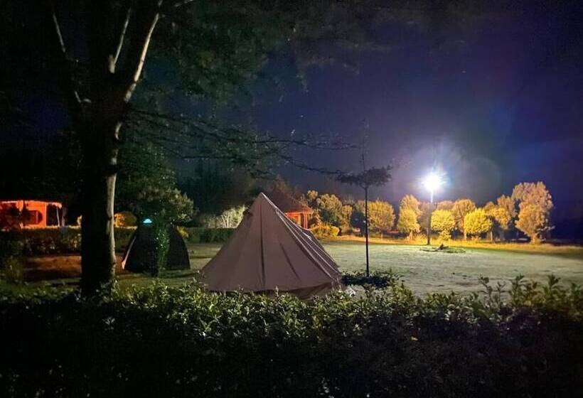 هاستل The Great Circle Lodge