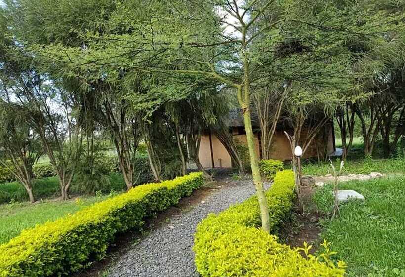 هاستل The Great Circle Lodge