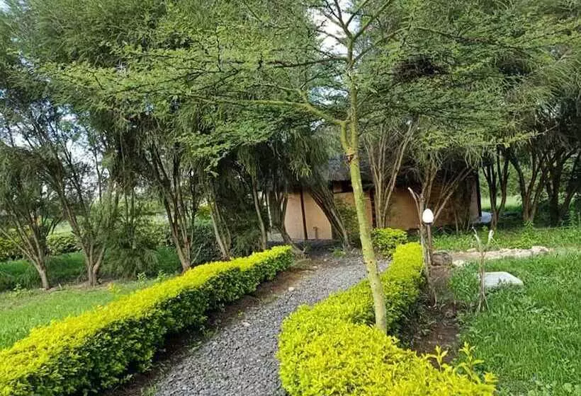 هاستل The Great Circle Lodge
