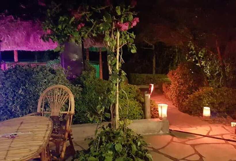 هاستل The Great Circle Lodge