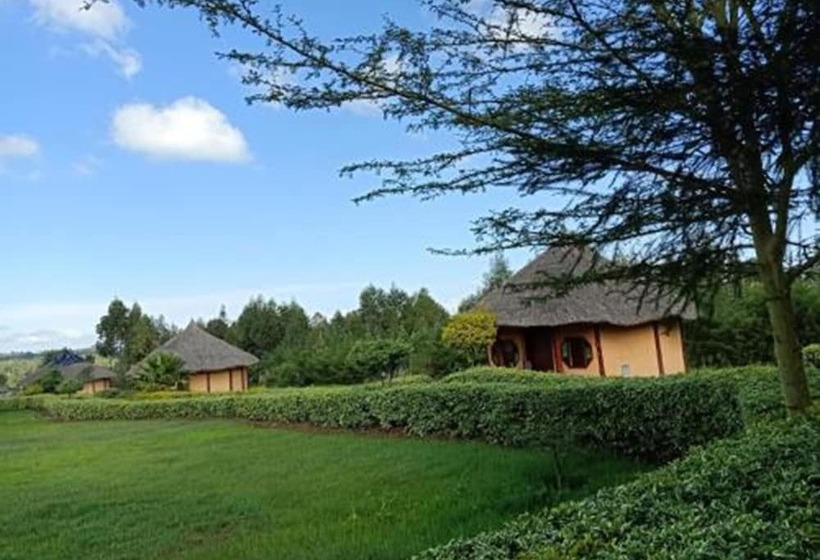 هاستل The Great Circle Lodge