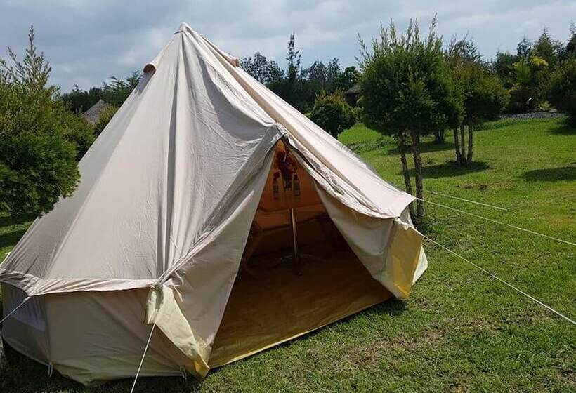 هاستل The Great Circle Lodge