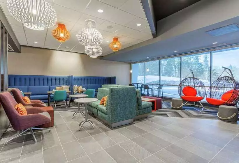 Hotelli Tru By Hilton Binghamton Vestal