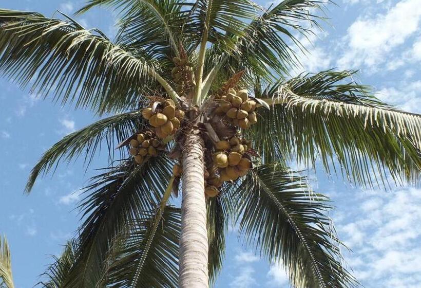 Kunta Kinteh Beach Complex