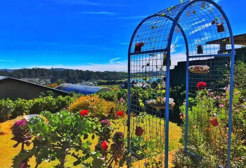 Majatalo Asteria Villa Guest House