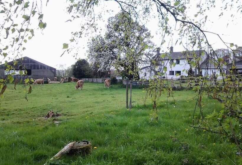 Thorps Farm Bed And Breakfast