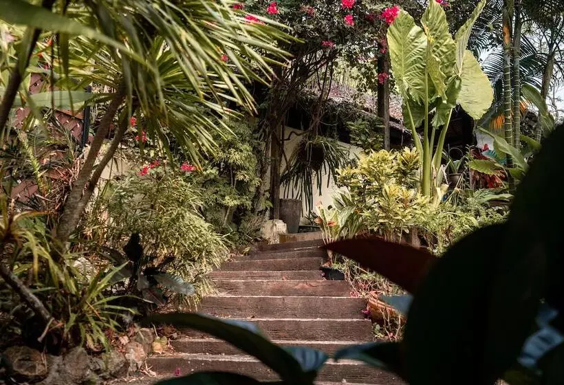 Hotelli Dan's Koyao Retreat