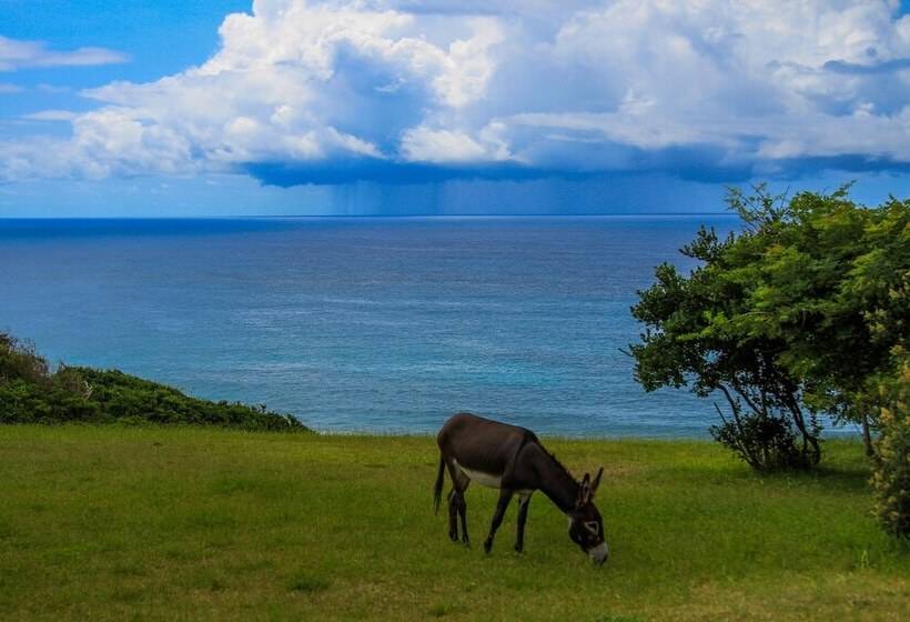 Hotel Sky Island Resort