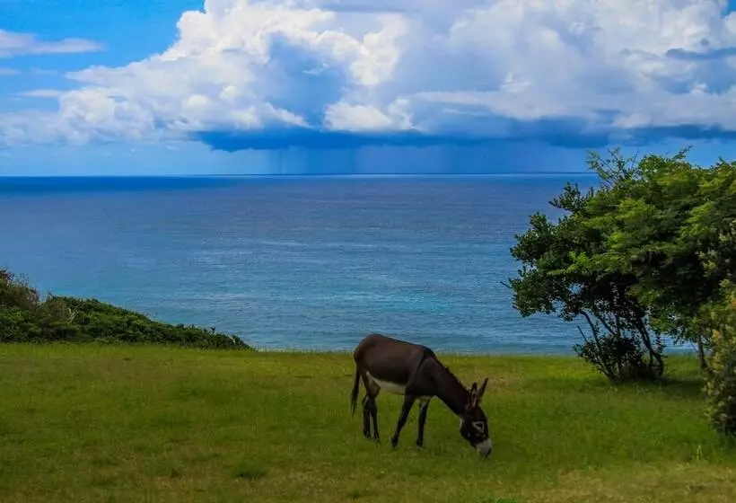 Hotelli Sky Island Resort