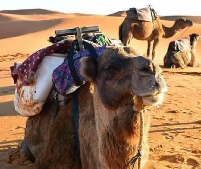 بنسيون Lahcen Sahara