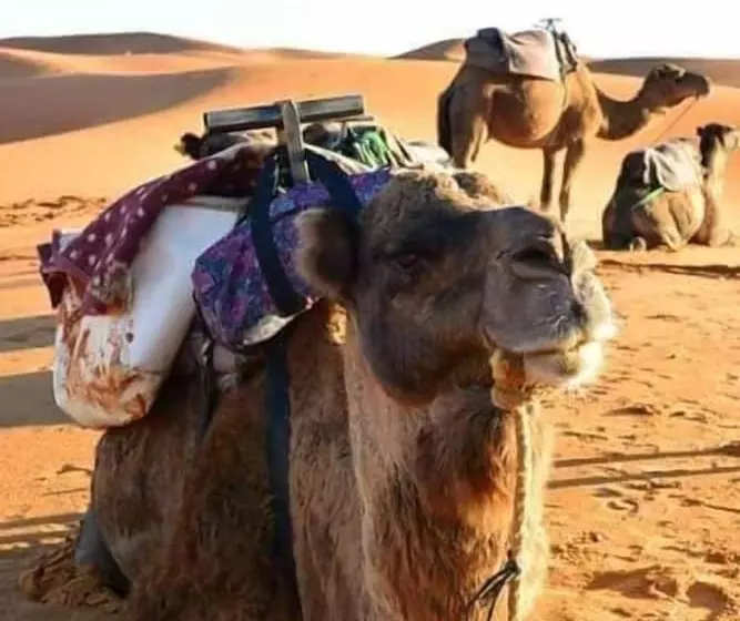 پانسیون Lahcen Sahara