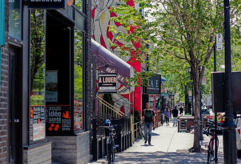 فندق صغير Pied A Terre Mont Royal