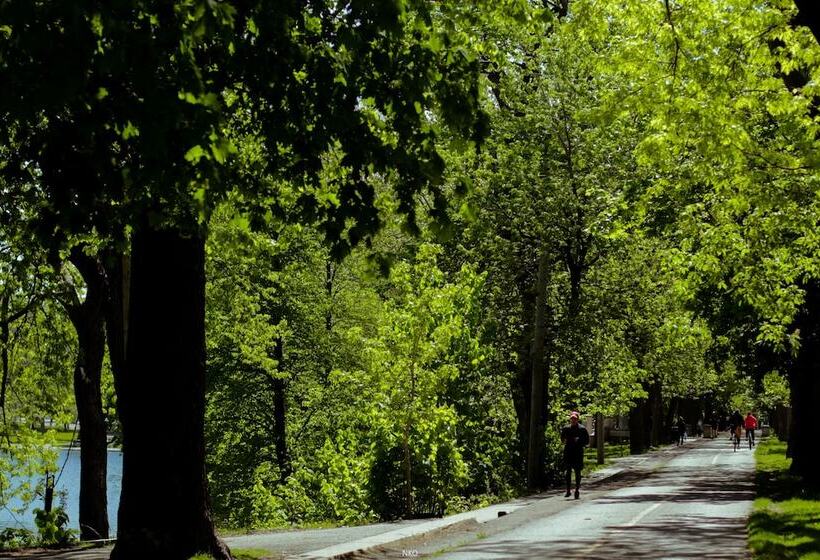 فندق صغير Pied A Terre Mont Royal