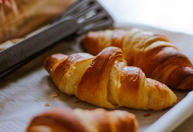 فندق صغير Pied A Terre Mont Royal