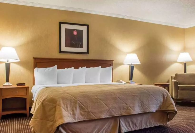 Clarion Hotel & Suites Riverfront