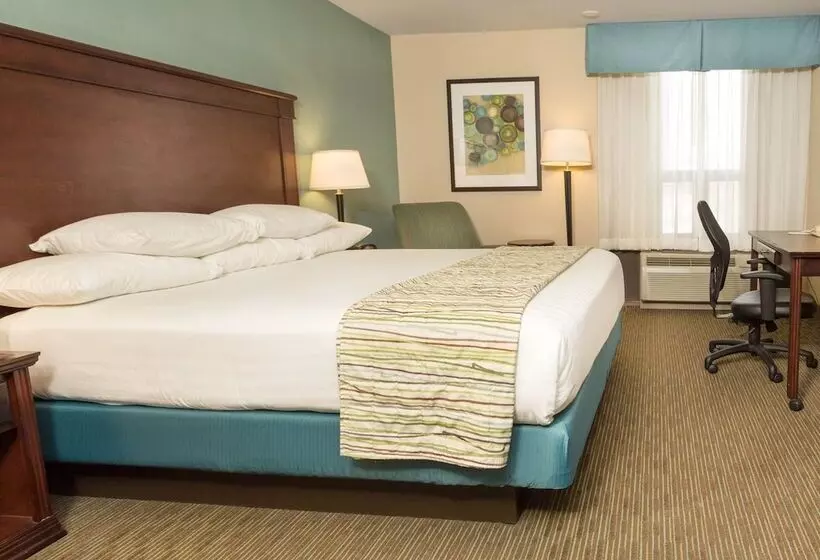 Отель Troy Inn & Suites