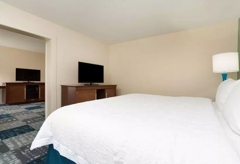 Отель Hampton Inn Norcross