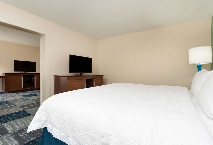 호텔 Hampton Inn Norcross