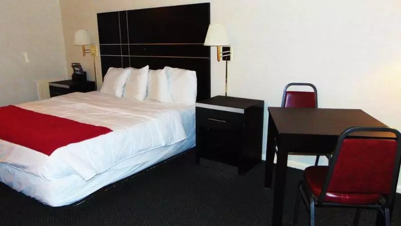 فندق Oceanside Lodge