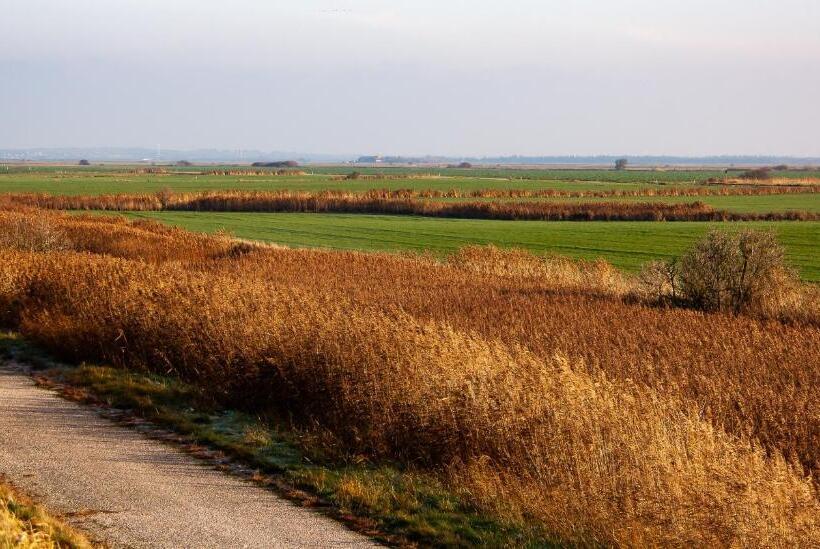 Хостел Ballum Slusekro