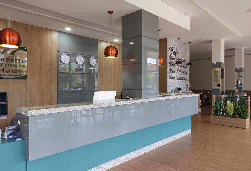 ホテル Maestro Express