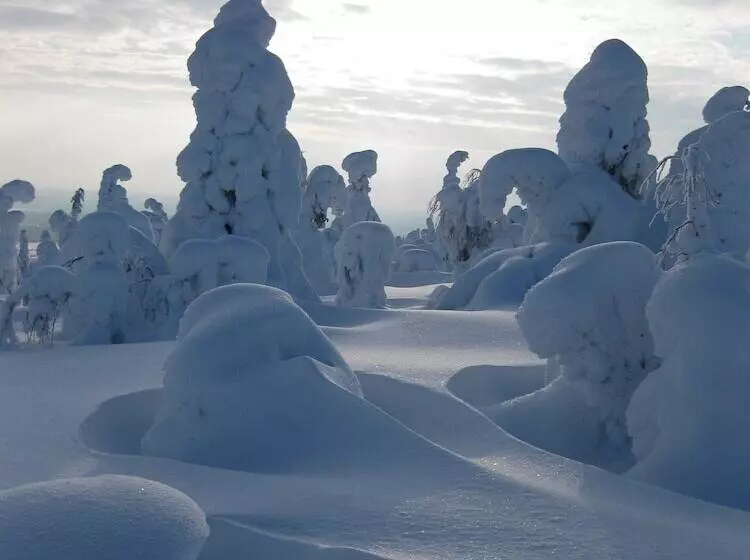 Isokenkaisten Klubi  Wilderness Lodge