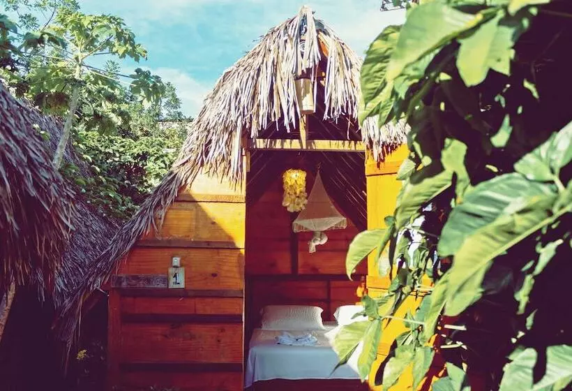 Raiz Hostel