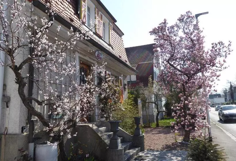 Aamiaismajoitus (B&B) Pension Zur Rose