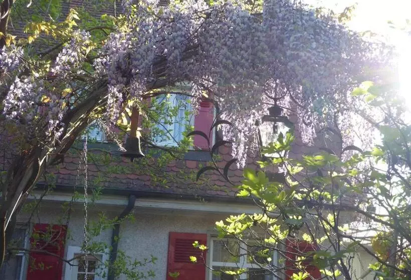 Aamiaismajoitus (B&B) Pension Zur Rose