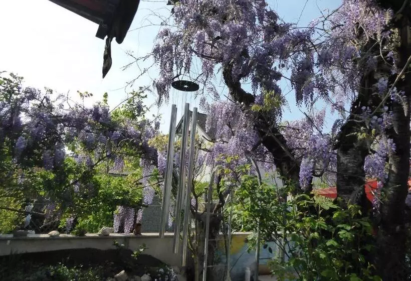 Aamiaismajoitus (B&B) Pension Zur Rose