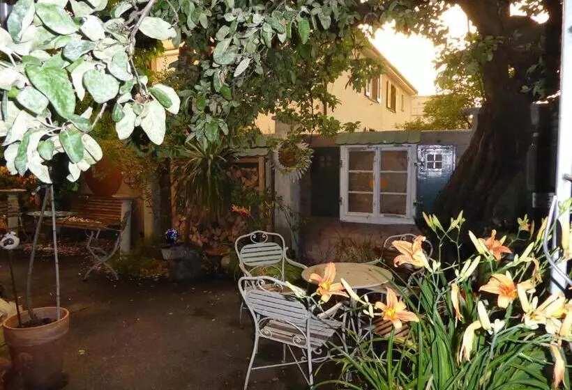 Aamiaismajoitus (B&B) Pension Zur Rose