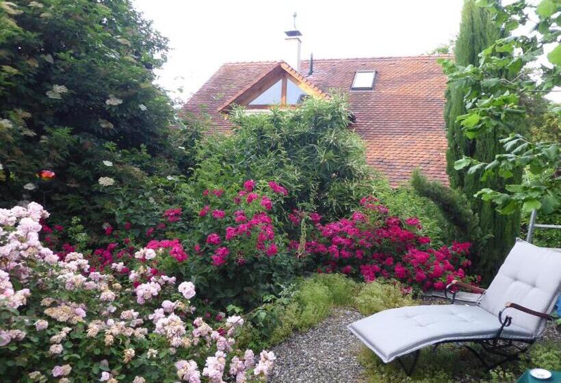 تختخواب و صبحانه Pension Zur Rose