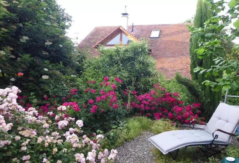 Aamiaismajoitus (B&B) Pension Zur Rose