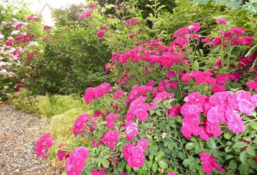 تختخواب و صبحانه Pension Zur Rose