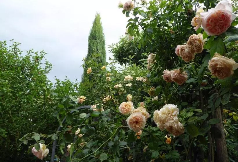 Aamiaismajoitus (B&B) Pension Zur Rose