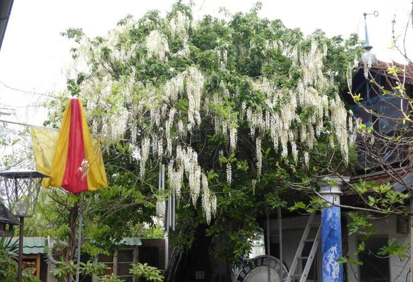 تختخواب و صبحانه Pension Zur Rose